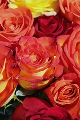 bouquet of red roses