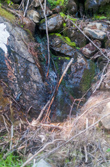 kleiner Wasserfall in bergiger und waldiger Landschaft an einem sonnigen Herbsttag