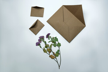 Herbarium and envelopes made of kraft paper. white background