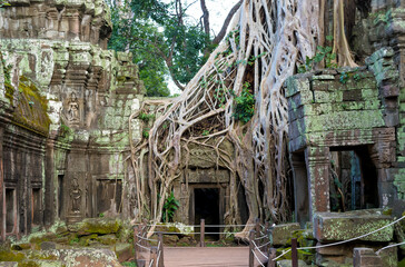 Ta Prohm, Siem Reap, Cambodia - a beautiful and famous temple in Siem Reap