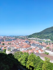 Obraz premium Heidelberg from the top