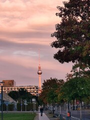 Fototapeta premium Alex in a sunset