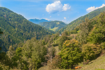 Fototapeta na wymiar Blick in ein Tal der Steiermark an einem sonnigen Herbsttag mit schönen Wolken