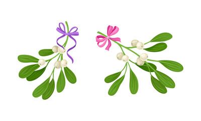 Snowberry branches with ripe berries decorated with purple and pink bows set. Small twigs of shrub with white fruit vector illustration