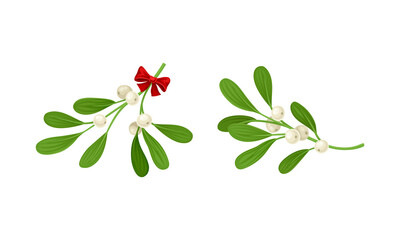 Snowberry branches with ripe berries set. Small twigs of shrub with white fruit vector illustration