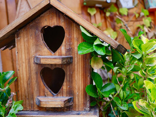 Birdhouse with heart shaped opening outside surrounded by greenery at summertime. Conceptual for family home and romantic love