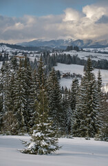 Fototapeta na wymiar Winter remote alpine mountain village outskirts, countryside hills, groves and farmlands.