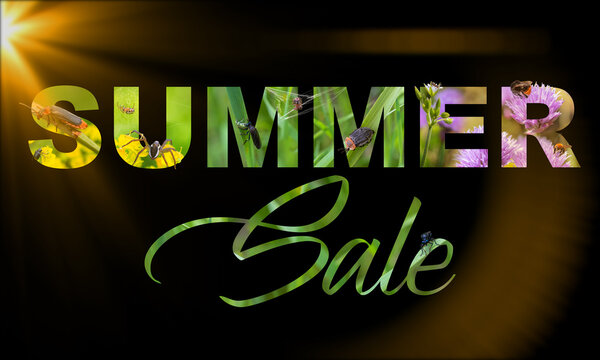 Summer sale poster. A collage of photos on a summer theme. Element for advertisement. Design for unique poster, banner, etc.