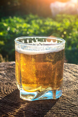 Cold beer in a glass on a wooden stump in the summer outdoors. Rest in the country. Evening sun