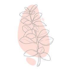 Leaf drawing