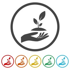 Plant leaf icon isolated on white background, color set