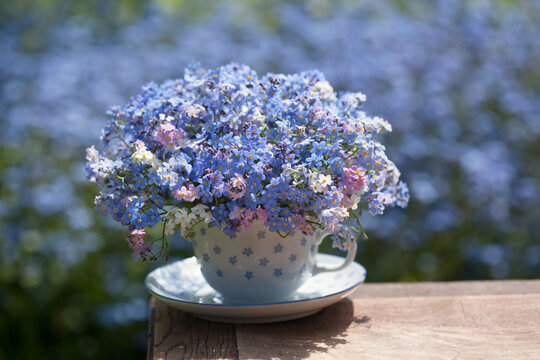 Spring bouquet of forget-me-nots in a cup on the table, blurred background of a flowerbed of blue flowers outdoors. Blur, selective focus, postcard.