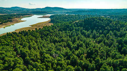 Green landscape top view green trees and road