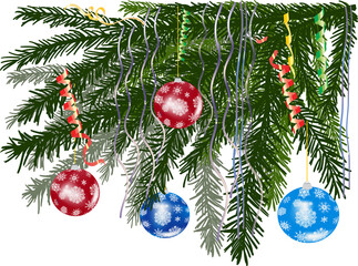 decorated by balls fir branches on white