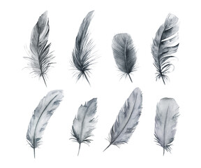 Watercolor feathers set. Hand drawn isolated  illustration on white background © natikka