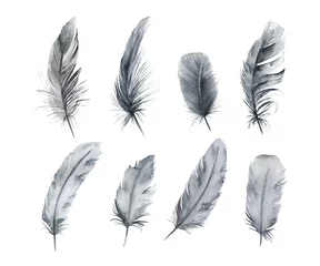 Papier peint Plumes Watercolor feathers set. Hand drawn isolated  illustration on white background