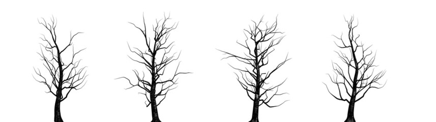 Silhouette verschiedener Bäume vor einem weißen Hintergrund