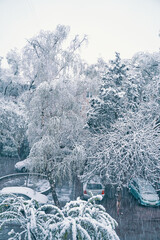Houses, cars and trees are covered with snow. View from window to frozen street. Winter ice landscape.