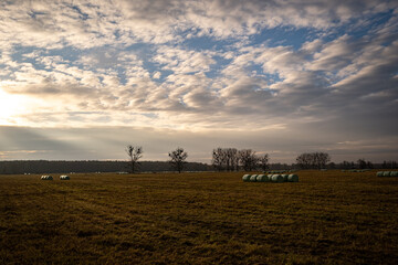 Felder in Brandenburg