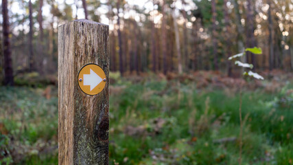 Yellow hiking trail marker pointing the direction in the woods