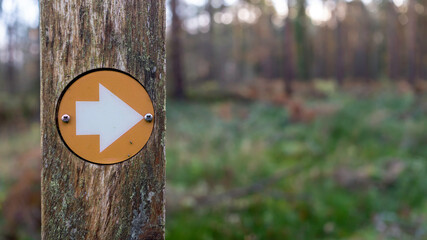 Yellow hiking trail marker pointing the direction in the woods - obrazy, fototapety, plakaty