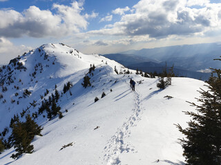 Fototapeta na wymiar Hikers on the Zaganu Ridge, Ciucas Mountains, Romania 
