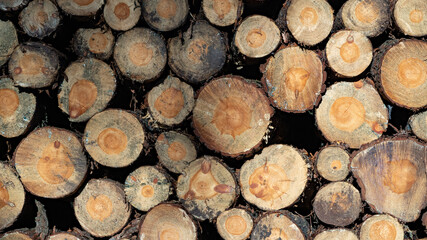 Stack of cut lumber piled together