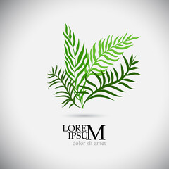 Logo green palm branch. Vector illustration
