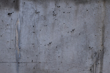 veining on a concrete wall with holes in it