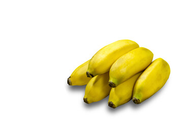 Bunch of apple bananas (Musa acuminata) on a white background. Photo produced in a studio