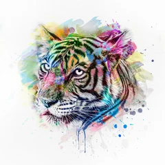 Foto op Canvas tiger head illustration © reznik_val