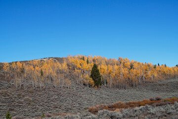 Autumn western landscape