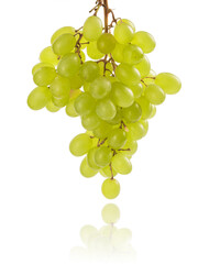 Ripe bunch of grapes isolated on white background.