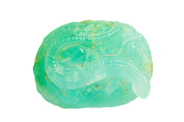 Fototapeta premium macro stone mineral lizard from Chrysoprase on a white background