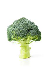 Fresh broccoli isolated on white background   