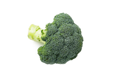 Fresh broccoli isolated on white background   