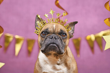 French Bulldog dog wearing New Year's Eve part headband with text 'Happy new year' in front of pink...