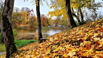 Obraz premium An old Lutheran church in the Latvian village of Aizpute among trees with yellowed leaves in October 2021
