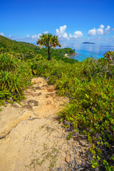 Fototapeta na wymiar hikink through the jungle on curieuse island on the seychelles