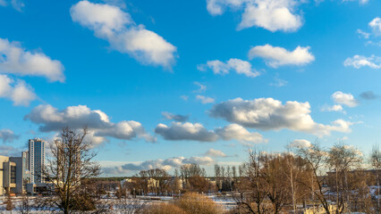 Bare branches of trees against the blue sky with clouds. Nature conservation.