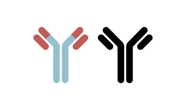 antibody, immune system, molecule cell. vector isolated illustration Simple icon