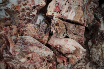Natural raw balanced nutrition for dogs barf. Animal by products for feeding pets. Frozen piece of beef or pork meat close up with ice.