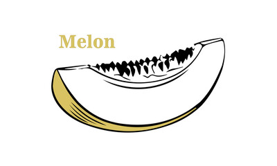 Melon graphic vector