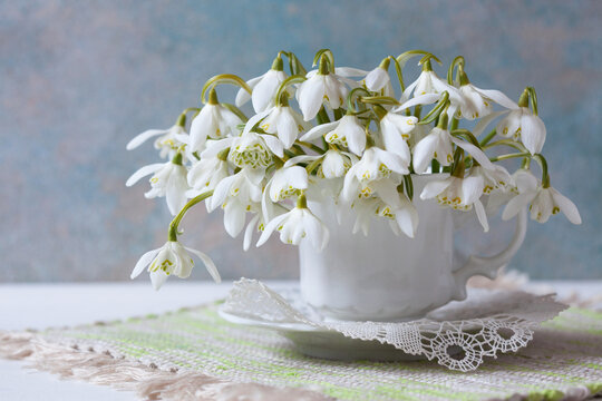 A bouquet of white spring flowers of snowdrops in a cup and saucer on the table against the background of a decorative wall, blur, selective focus, beautiful postcard for the holiday.
