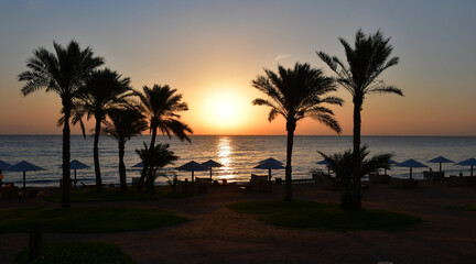 Obraz premium View from the beach at sunrise over the sea. A sunny path on the water. Silhouettes of beach umbrellas and sun beds. palm trees. A beautiful start to the holiday day