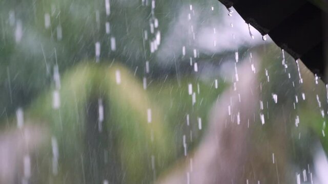 Slow motion of rain with big drops of water falling from roof and blurry coconut trees in background