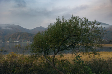 Landscape view of a riverside surrounded by mountains