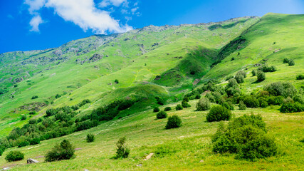 Fototapeta na wymiar Mountains of North Ossetia, beautiful summer landscapes with blue sky and clouds.