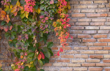 old and weathered brick wall