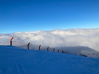 neve